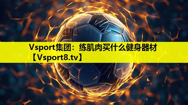 Vsport集团：练肌肉买什么健身器材