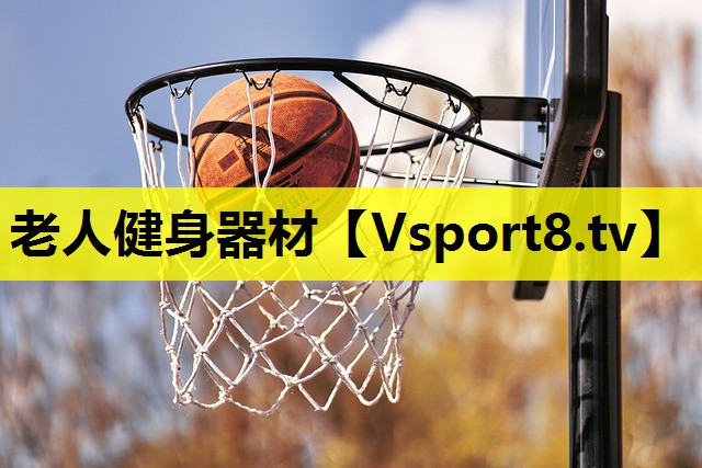 老人健身器材
