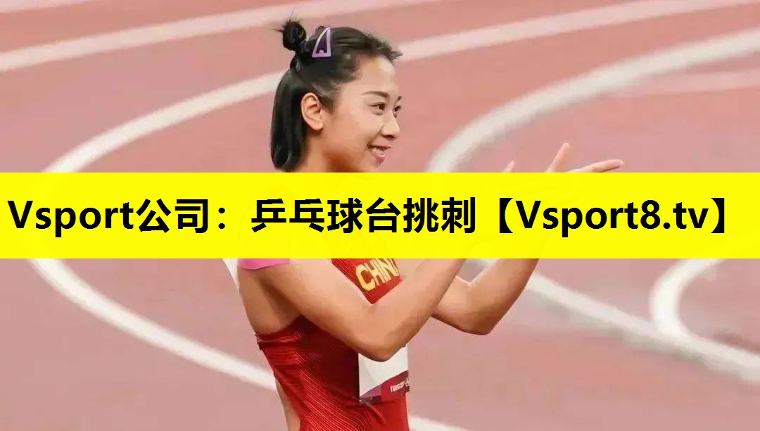 Vsport公司：乒乓球台挑刺