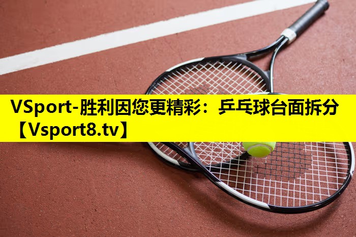 VSport-胜利因您更精彩：乒乓球台面拆分