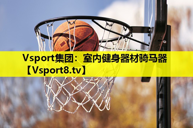 Vsport集团：室内健身器材骑马器