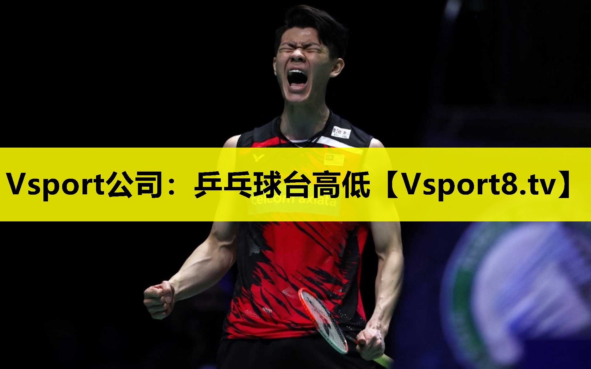 Vsport公司：乒乓球台高低