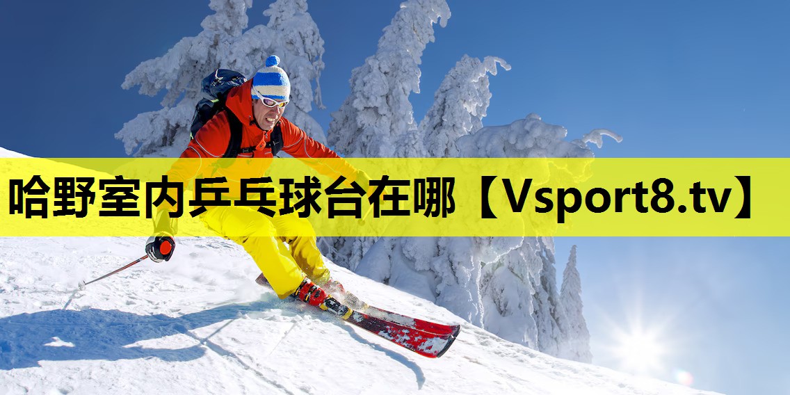 哈野室内乒乓球台在哪 哈野室内乒乓球台在哪