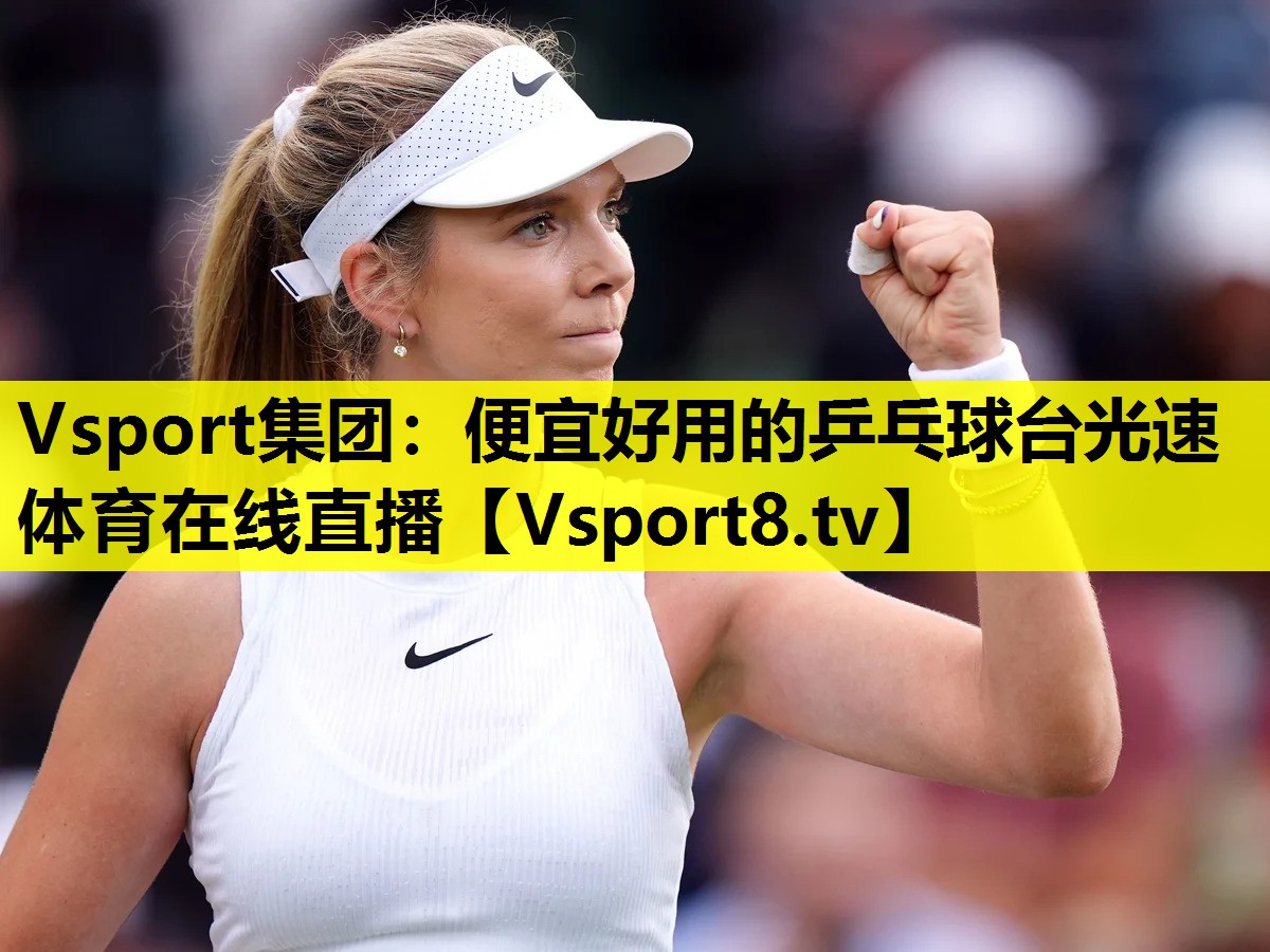 Vsport集团：便宜好用的乒乓球台光速体育在线直播