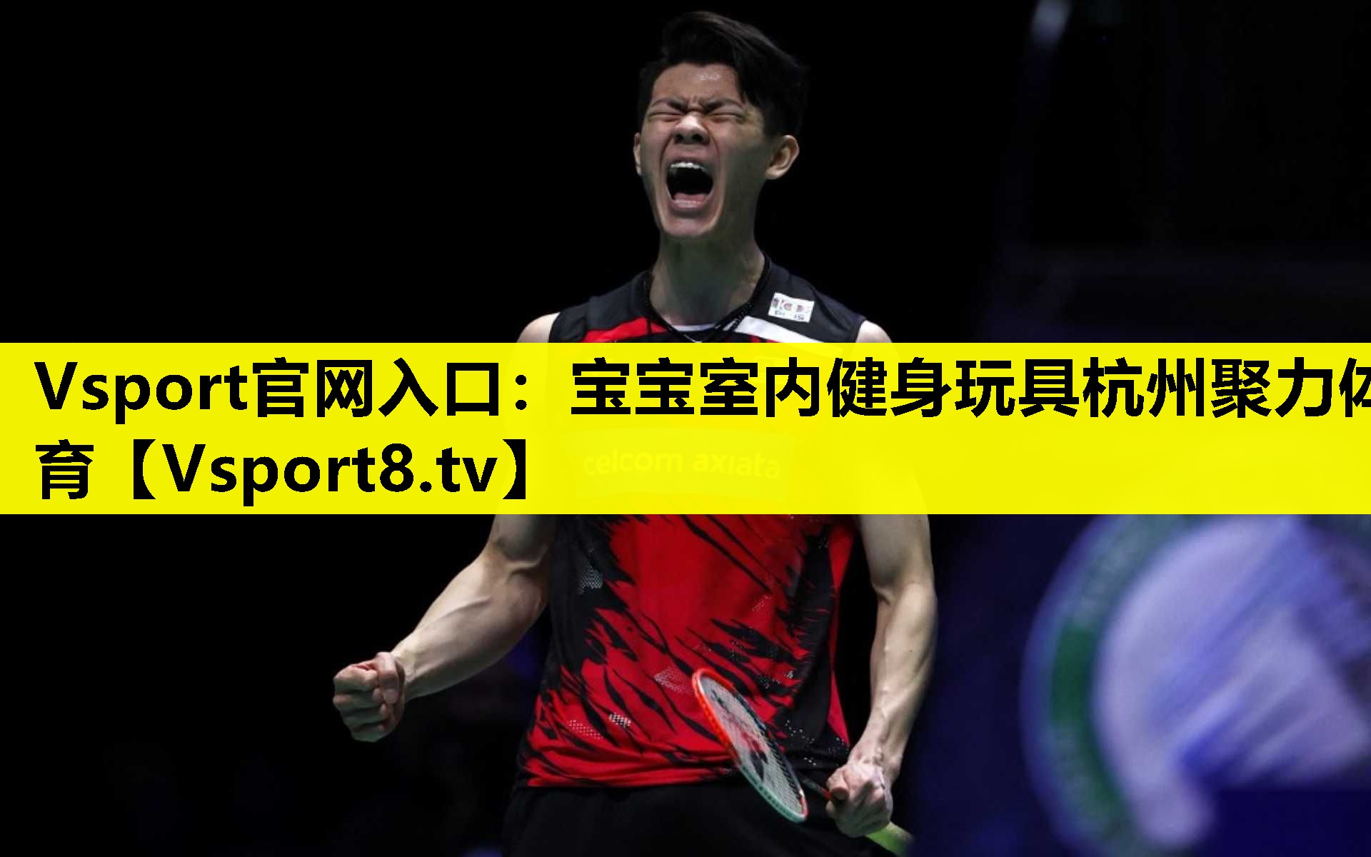 Vsport官网入口：宝宝室内健身玩具杭州聚力体育