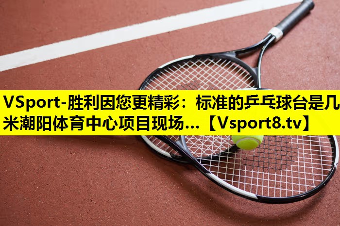 VSport-胜利因您更精彩：标准的乒乓球台是几米潮阳体育中心项目现场…
