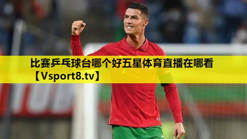 比赛乒乓球台哪个好五星体育直播在哪看