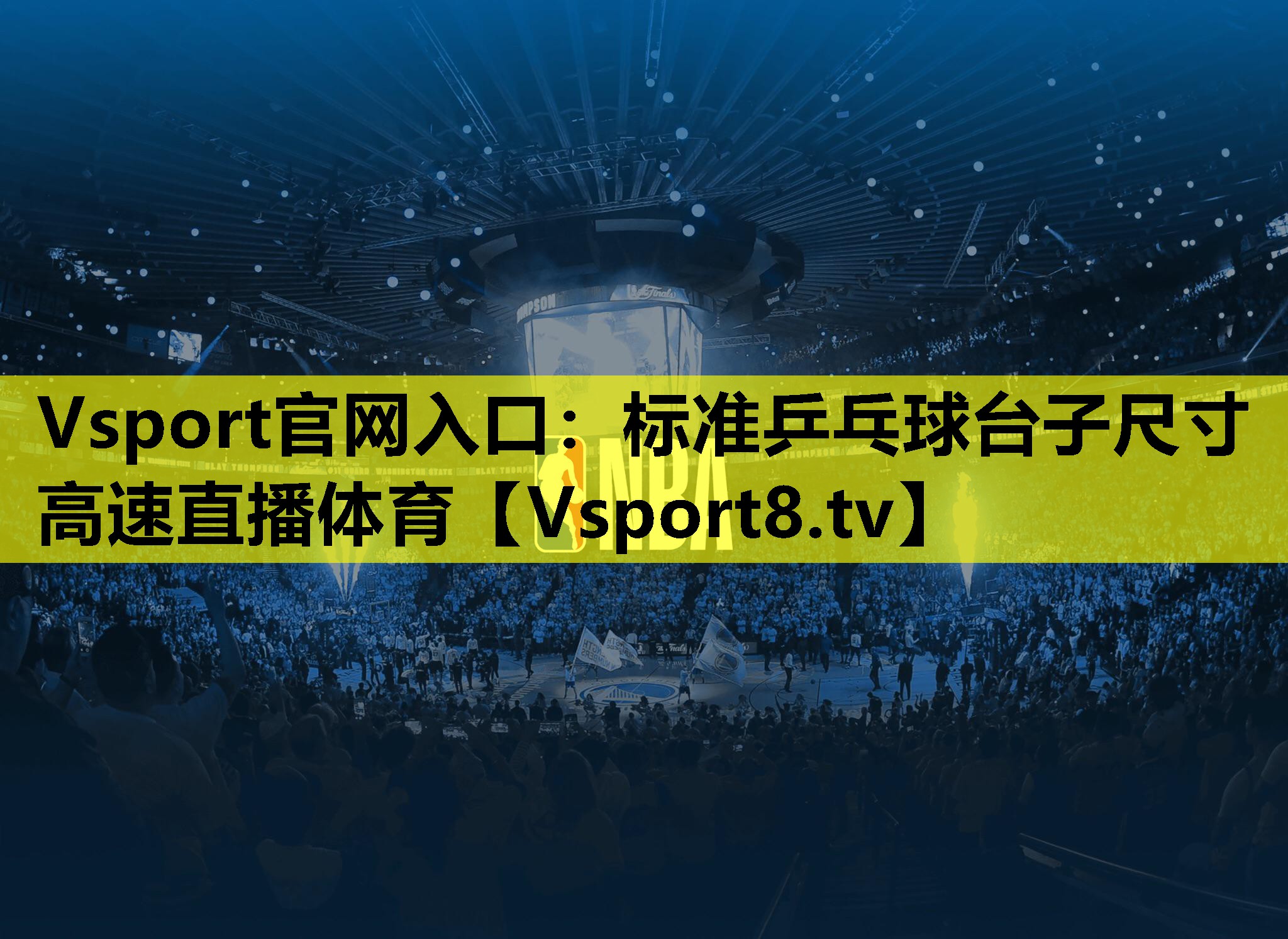 Vsport官网入口：标准乒乓球台子尺寸高速直播体育