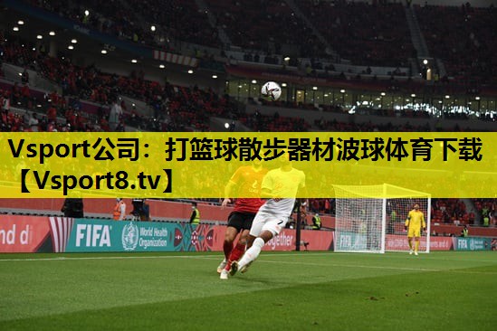 Vsport公司：打篮球散步器材波球体育下载