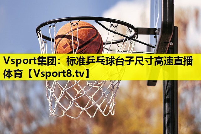 Vsport集团：标准乒乓球台子尺寸高速直播体育
