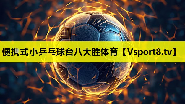 便携式小乒乓球台八大胜体育